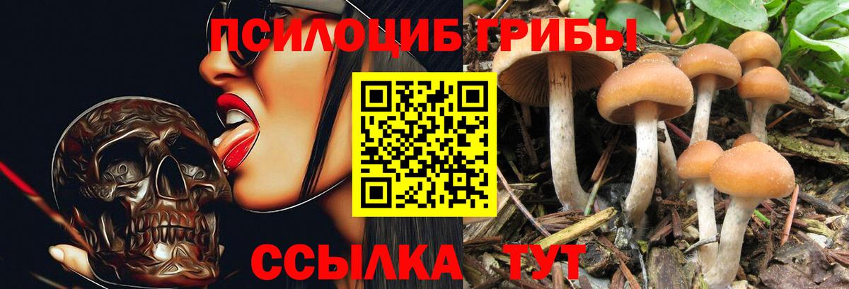 Псилоцибиновые грибы MAGIC MUSHROOMS Салават