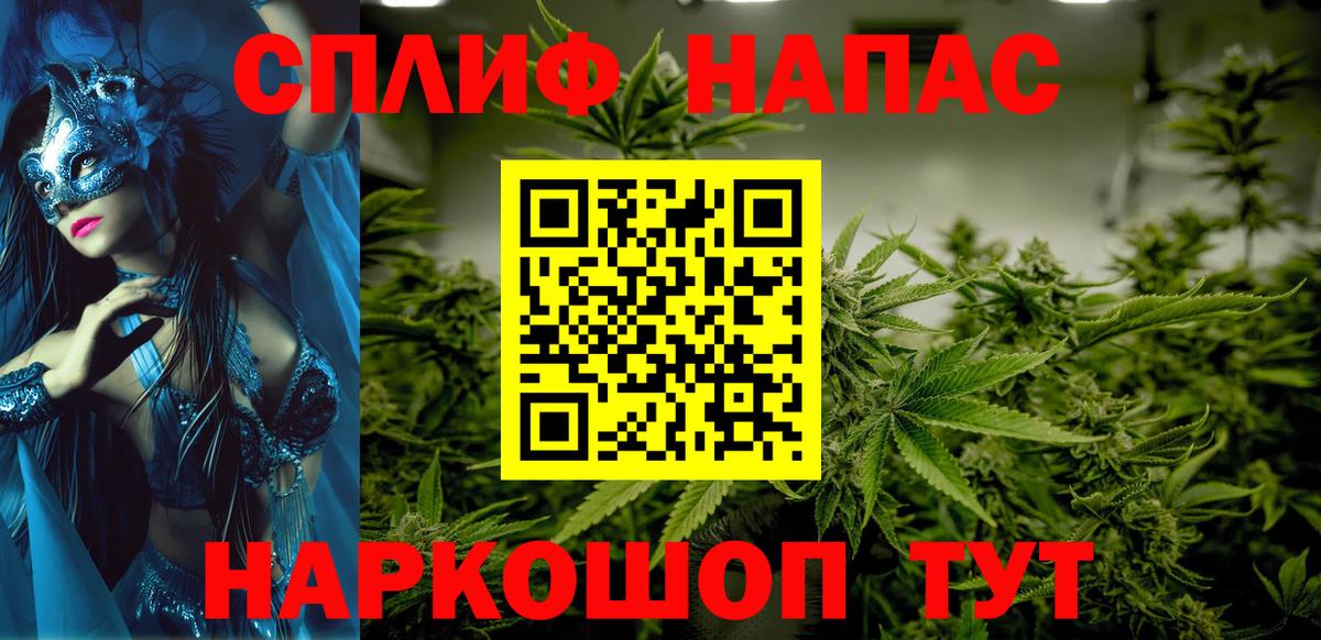 Бошки Шишки планчик Салават